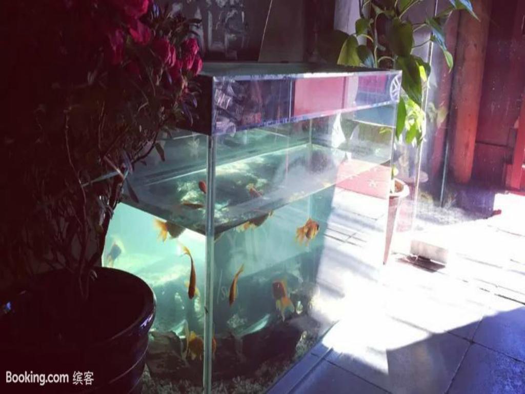 Three Legged Frog Hostel ปักกิ่ง ภายนอก รูปภาพ
